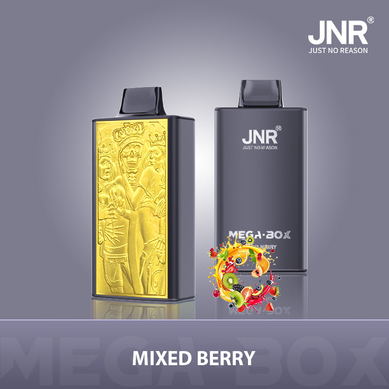 JNR Mega Box 25000 Caladas Vape Desechable 