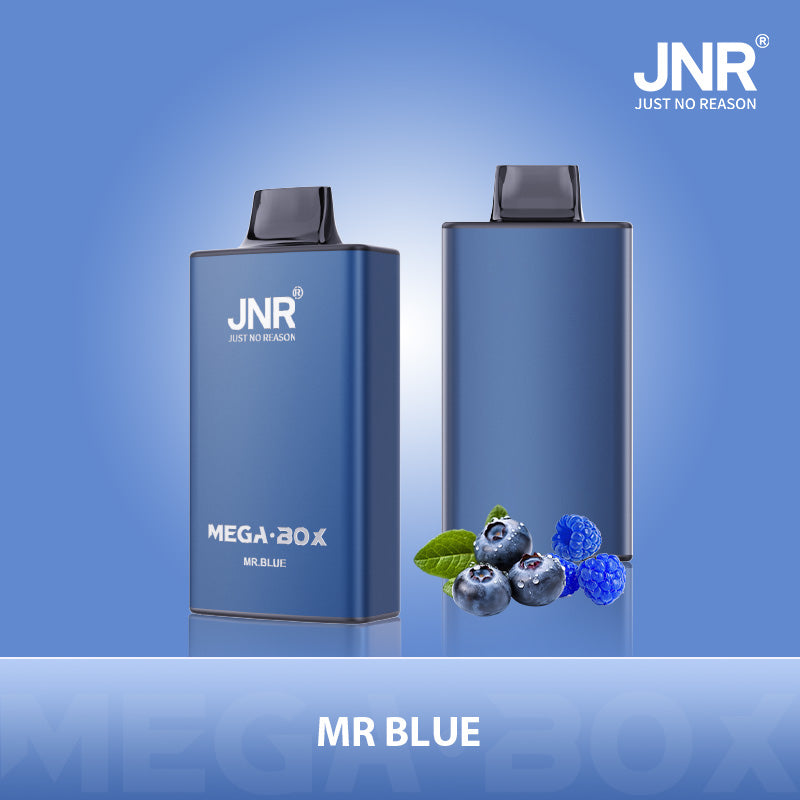 JNR Mega Box 25000 Caladas Vape Desechable 