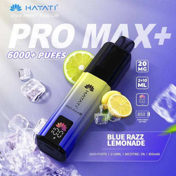 Hayat Pro Max+ 6000 Puffs Disposable Vape